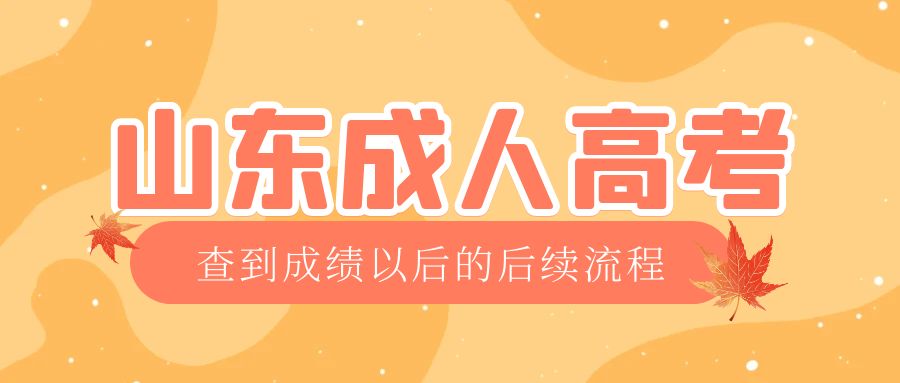 宁阳成考查完成绩以后做什么，宁阳成考网